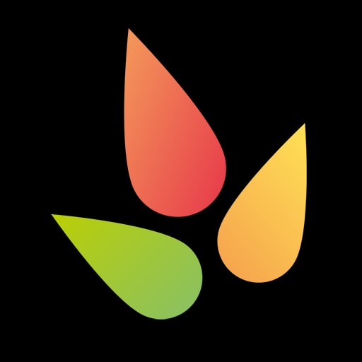 Adoria app icon